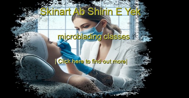 Skinart Ab Shirin E Yek microblading classes-United Kingdom