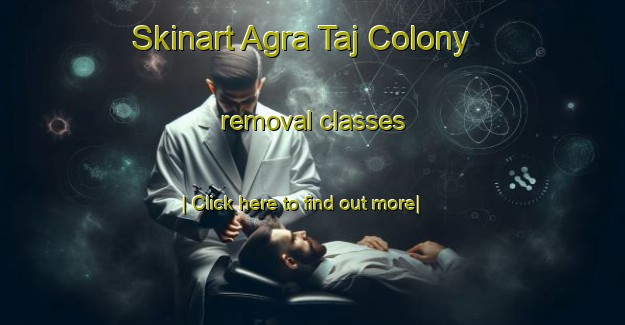 Skinart Agra Taj Colony removal classes-United Kingdom