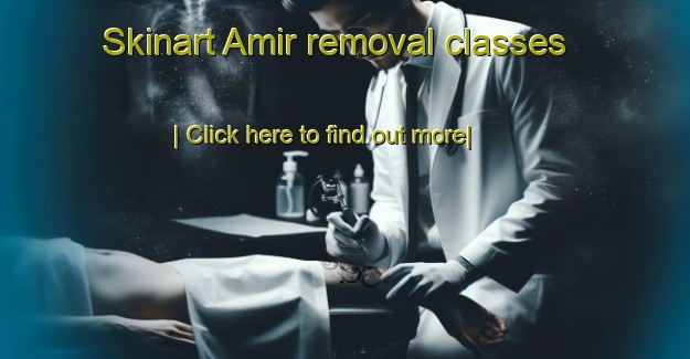 Skinart Amir removal classes-United Kingdom