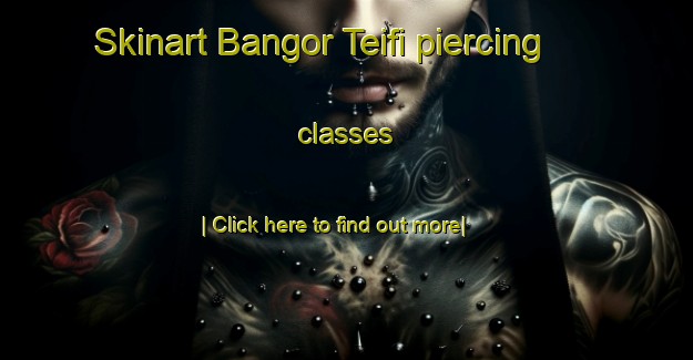 Skinart Bangor Teifi piercing classes-United Kingdom