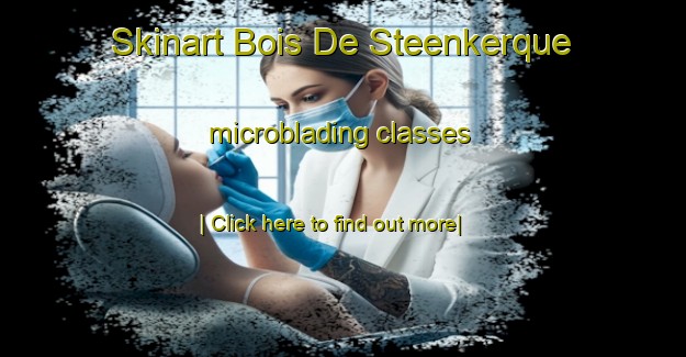 Skinart Bois De Steenkerque microblading classes-United Kingdom