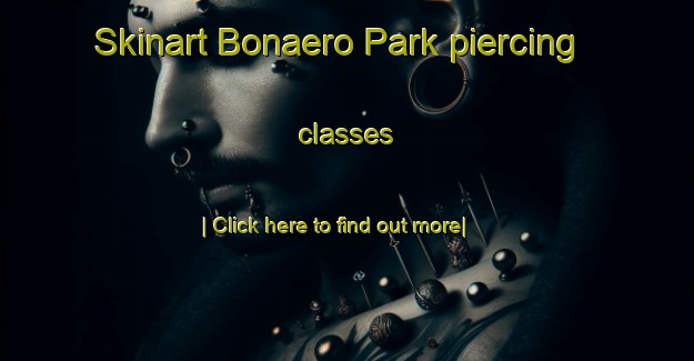 Skinart Bonaero Park piercing classes-United Kingdom