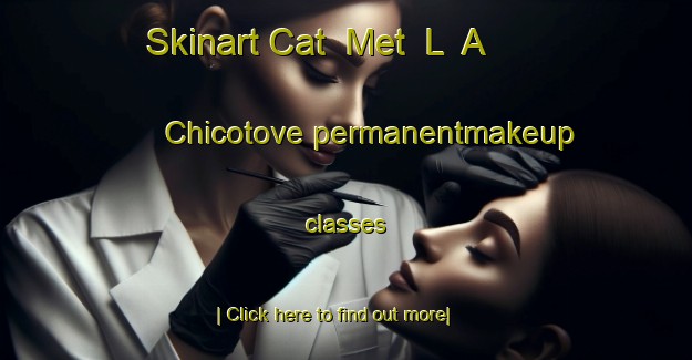 Skinart Cat  Met  L  A  Chicotove permanentmakeup classes-United Kingdom