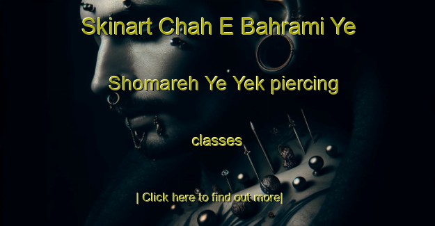 Skinart Chah E Bahrami Ye Shomareh Ye Yek piercing classes-United Kingdom