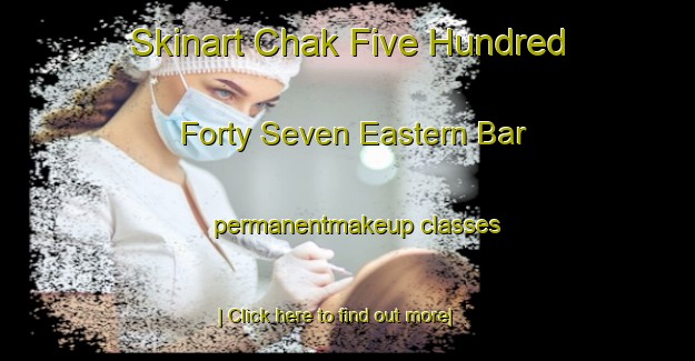 Skinart Chak Five Hundred Forty Seven Eastern Bar permanentmakeup classes-United Kingdom