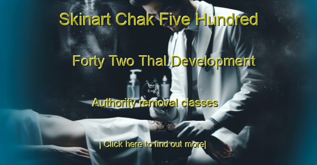 Skinart Chak Five Hundred Forty Two Thal Development Authority removal classes-United Kingdom