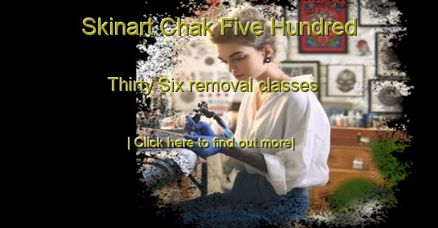 Skinart Chak Five Hundred Thirty Six removal classes-United Kingdom