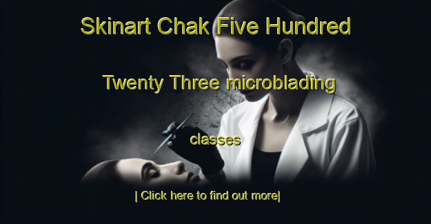 Skinart Chak Five Hundred Twenty Three microblading classes-United Kingdom