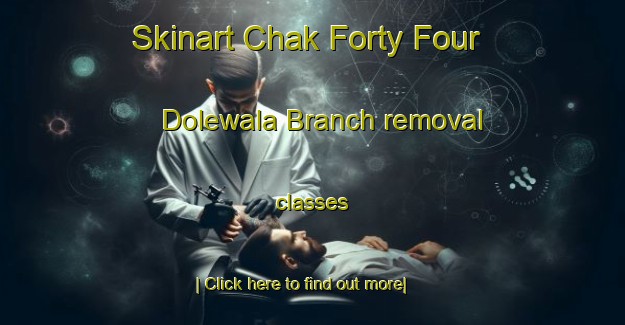 Skinart Chak Forty Four Dolewala Branch removal classes-United Kingdom