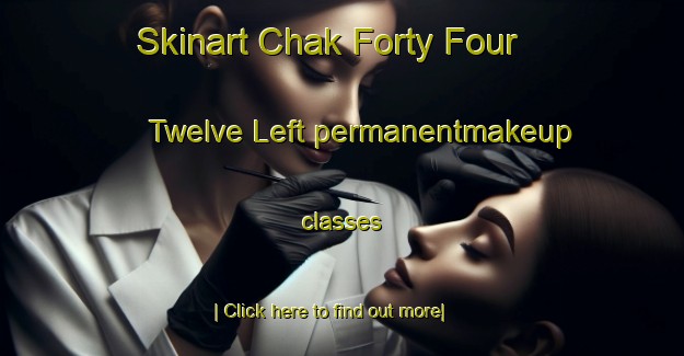 Skinart Chak Forty Four  Twelve Left permanentmakeup classes-United Kingdom