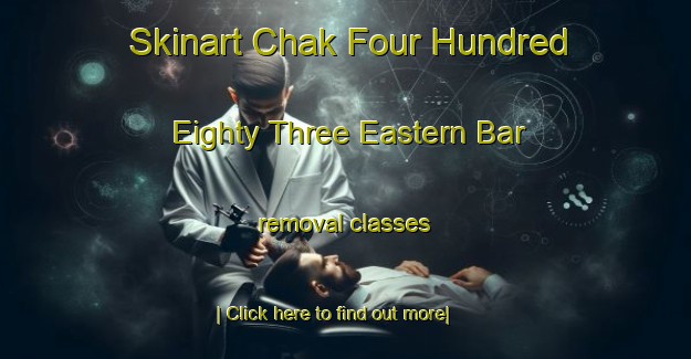 Skinart Chak Four Hundred Eighty Three Eastern Bar removal classes-United Kingdom