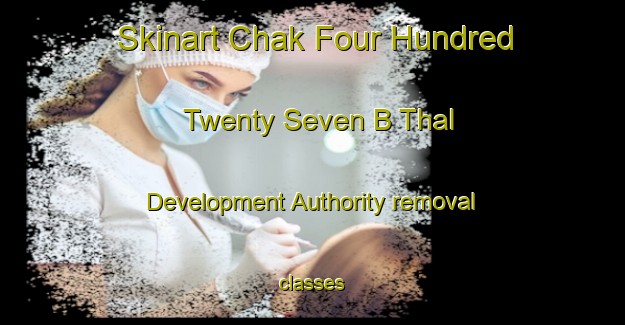 Skinart Chak Four Hundred Twenty Seven B Thal Development Authority removal classes-United Kingdom