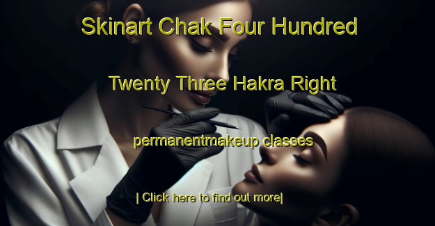 Skinart Chak Four Hundred Twenty Three Hakra Right permanentmakeup classes-United Kingdom