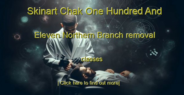 Skinart Chak One Hundred And Eleven Northern Branch removal classes-United Kingdom