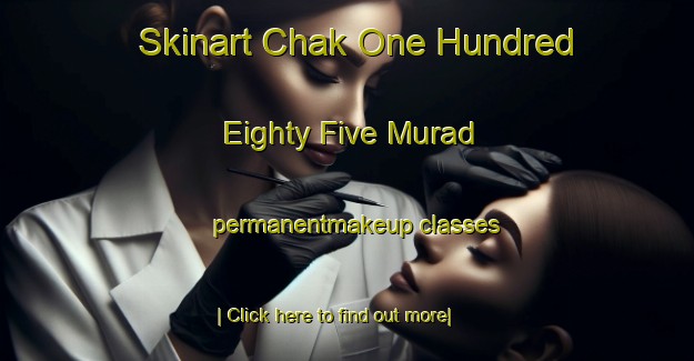 Skinart Chak One Hundred Eighty Five Murad permanentmakeup classes-United Kingdom