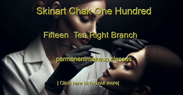 Skinart Chak One Hundred Fifteen  Ten Right Branch permanentmakeup classes-United Kingdom