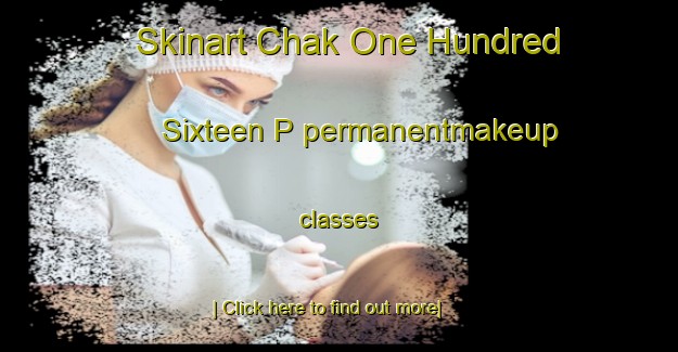 Skinart Chak One Hundred Sixteen P permanentmakeup classes-United Kingdom