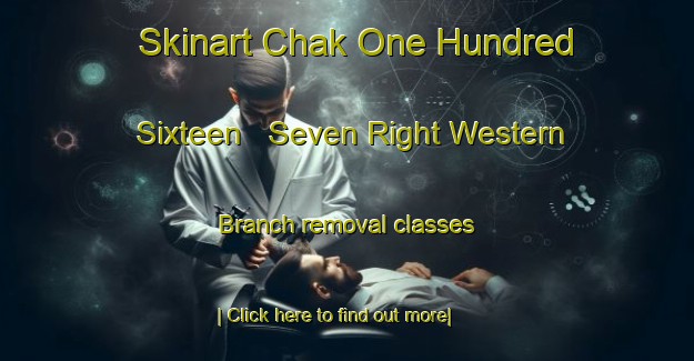 Skinart Chak One Hundred Sixteen   Seven Right Western Branch removal classes-United Kingdom