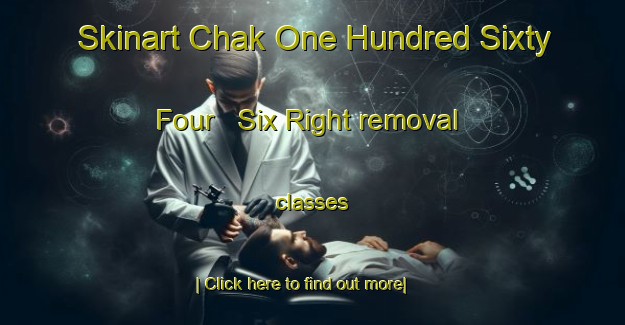 Skinart Chak One Hundred Sixty Four   Six Right removal classes-United Kingdom