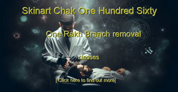 Skinart Chak One Hundred Sixty One Rakh Branch removal classes-United Kingdom