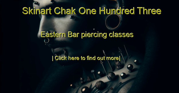 Skinart Chak One Hundred Three Eastern Bar piercing classes-United Kingdom