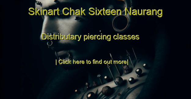 Skinart Chak Sixteen Naurang Distributary piercing classes-United Kingdom