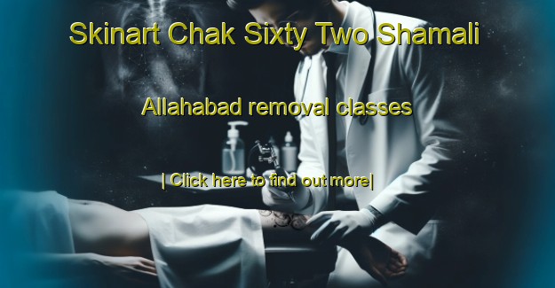 Skinart Chak Sixty Two Shamali Allahabad removal classes-United Kingdom