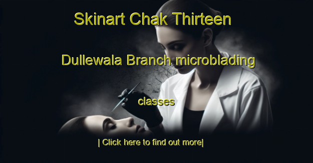 Skinart Chak Thirteen Dullewala Branch microblading classes-United Kingdom