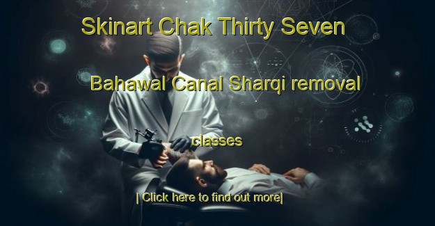 Skinart Chak Thirty Seven Bahawal Canal Sharqi removal classes-United Kingdom