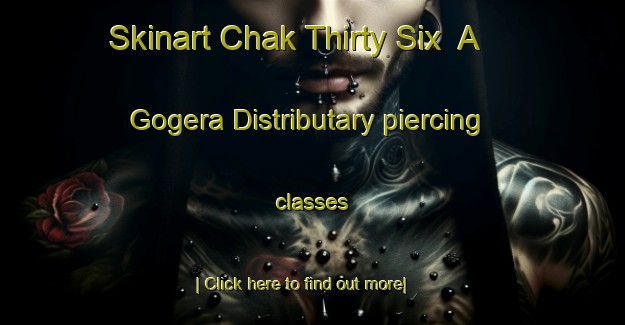 Skinart Chak Thirty Six  A Gogera Distributary piercing classes-United Kingdom