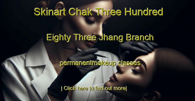 Skinart Chak Three Hundred Eighty Three Jhang Branch permanentmakeup classes-United Kingdom