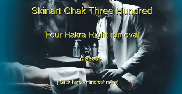 Skinart Chak Three Hundred Four Hakra Right removal classes-United Kingdom