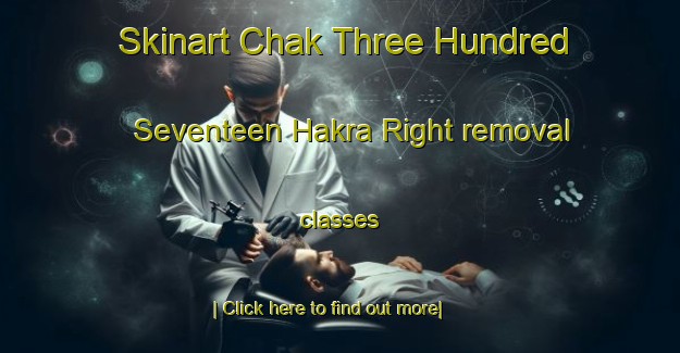 Skinart Chak Three Hundred Seventeen Hakra Right removal classes-United Kingdom