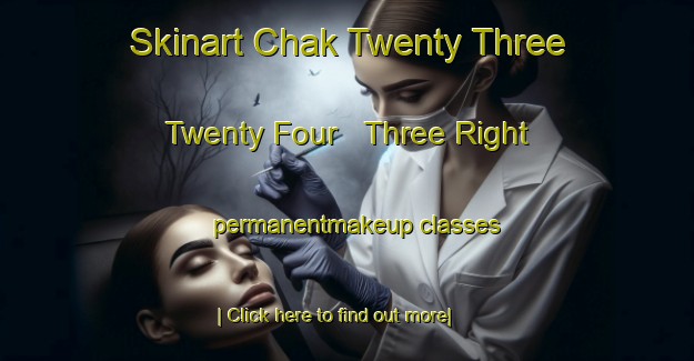 Skinart Chak Twenty Three Twenty Four   Three Right permanentmakeup classes-United Kingdom