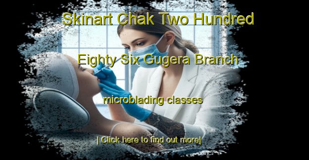 Skinart Chak Two Hundred Eighty Six Gugera Branch microblading classes-United Kingdom