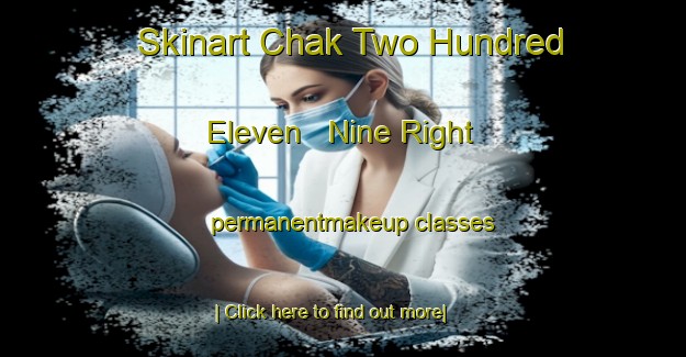 Skinart Chak Two Hundred Eleven   Nine Right permanentmakeup classes-United Kingdom