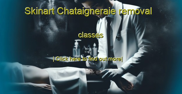 Skinart Chataigneraie removal classes-United Kingdom