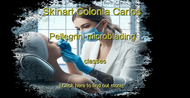 Skinart Colonia Carlos Pellegrini microblading classes-United Kingdom