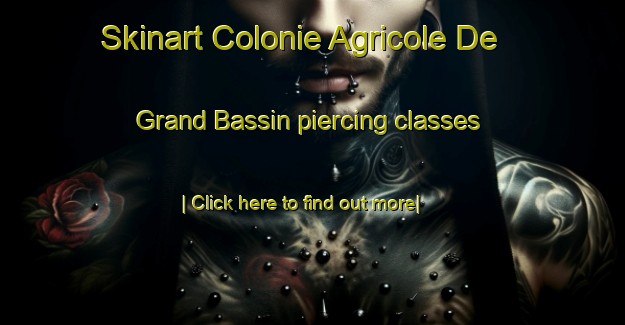 Skinart Colonie Agricole De Grand Bassin piercing classes-United Kingdom