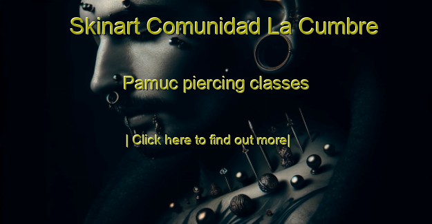 Skinart Comunidad La Cumbre Pamuc piercing classes-United Kingdom