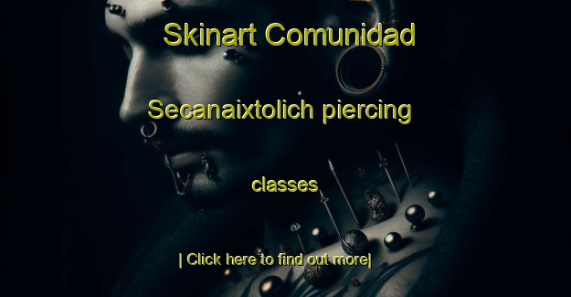 Skinart Comunidad Secanaixtolich piercing classes-United Kingdom