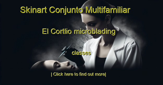 Skinart Conjunto Multifamiliar El Cortlio microblading classes-United Kingdom