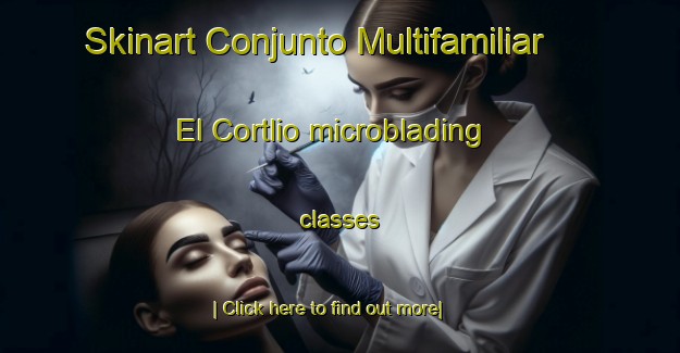 Skinart Conjunto Multifamiliar El Cortlio microblading classes-United Kingdom