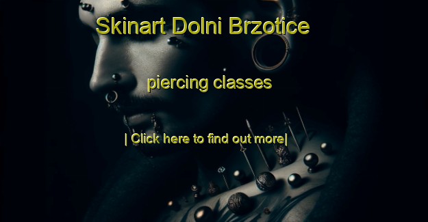 Skinart Dolni Brzotice piercing classes-United Kingdom