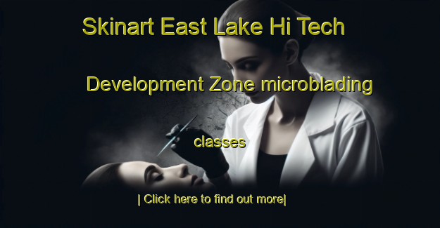 Skinart East Lake Hi Tech Development Zone microblading classes-United Kingdom