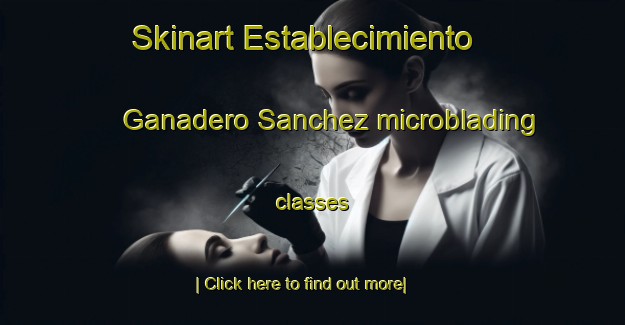 Skinart Establecimiento Ganadero Sanchez microblading classes-United Kingdom