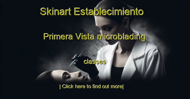 Skinart Establecimiento Primera Vista microblading classes-United Kingdom