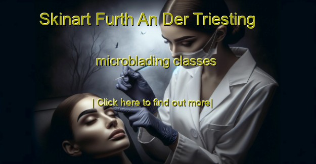 Skinart Furth An Der Triesting microblading classes-United Kingdom