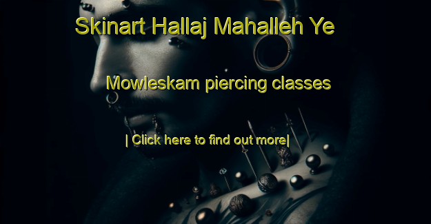 Skinart Hallaj Mahalleh Ye Mowleskam piercing classes-United Kingdom