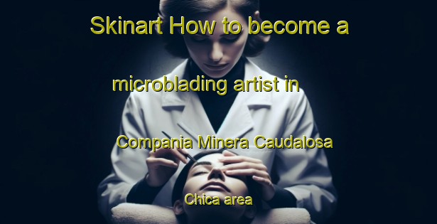 Skinart How to become a microblading artist in Compania Minera Caudalosa Chica area-United Kingdom